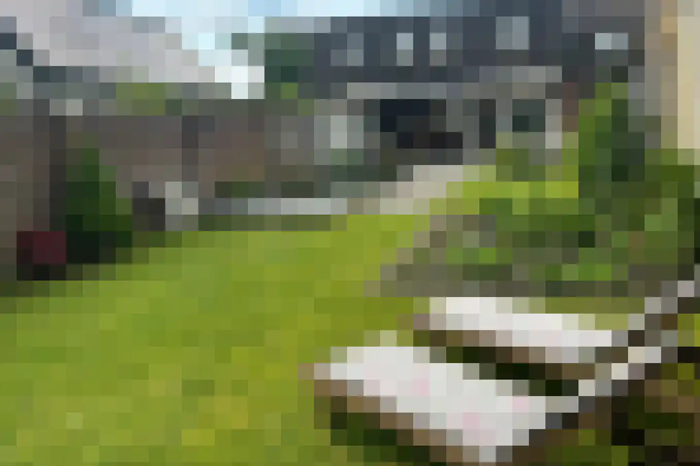 Leenderweg 8 Heeze thumbnail 34