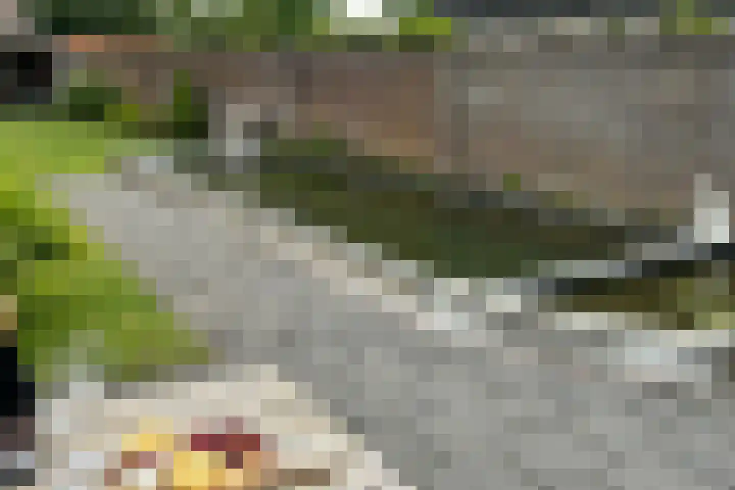 Leenderweg 8 Heeze thumbnail 36