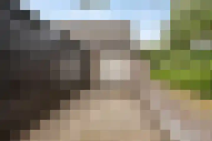 Leenderweg 8 Heeze thumbnail 37