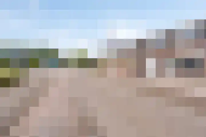 Leenderweg 8 Heeze thumbnail 38