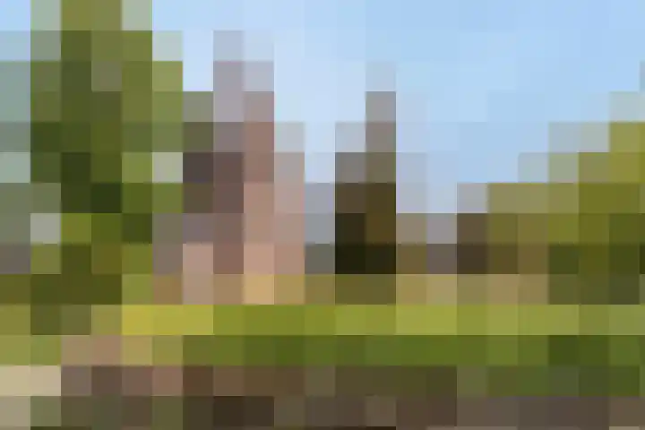 Leenderweg 8 Heeze thumbnail 41