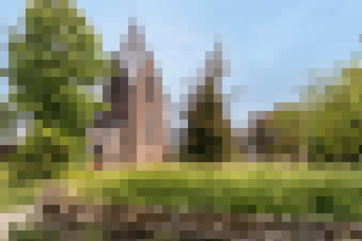 Leenderweg 8 Heeze thumbnail 42