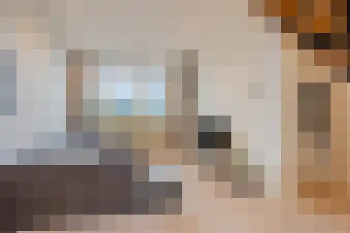 Leenderweg 8 Heeze thumbnail 5