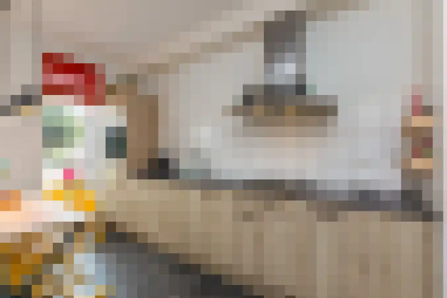 Leenes Land 17 A Zoutelande thumbnail 10