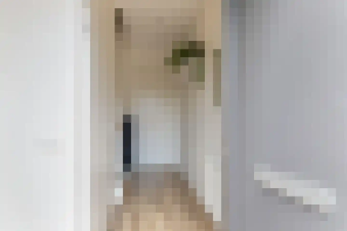 Leenes Land 17 A Zoutelande thumbnail 11