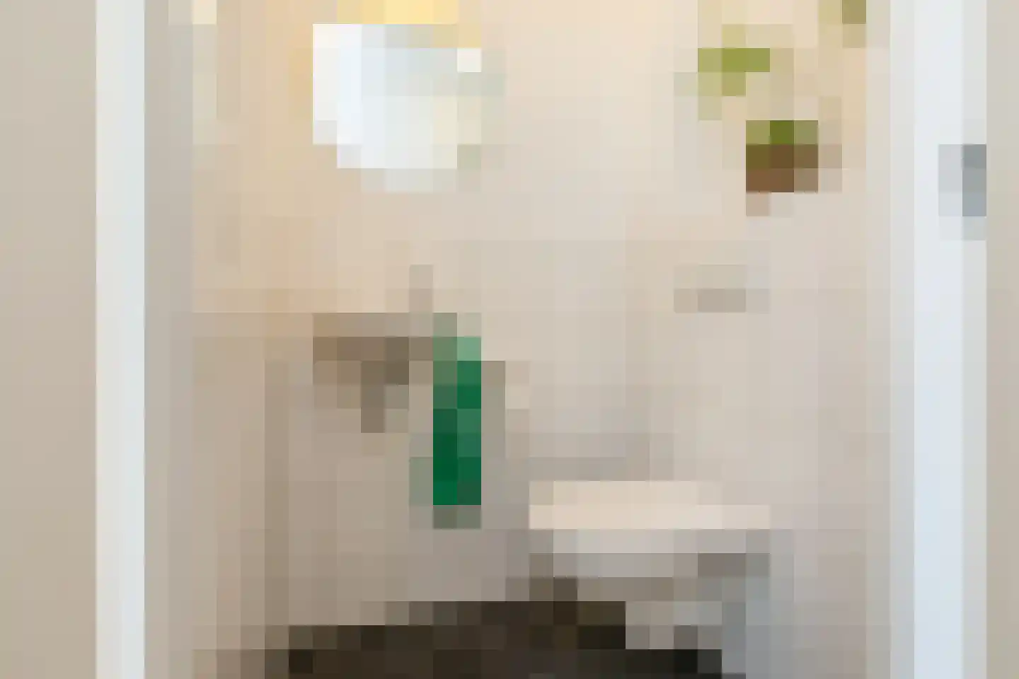 Leenes Land 17 A Zoutelande thumbnail 12