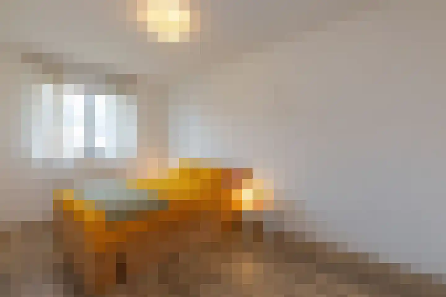 Leenes Land 17 A Zoutelande thumbnail 13