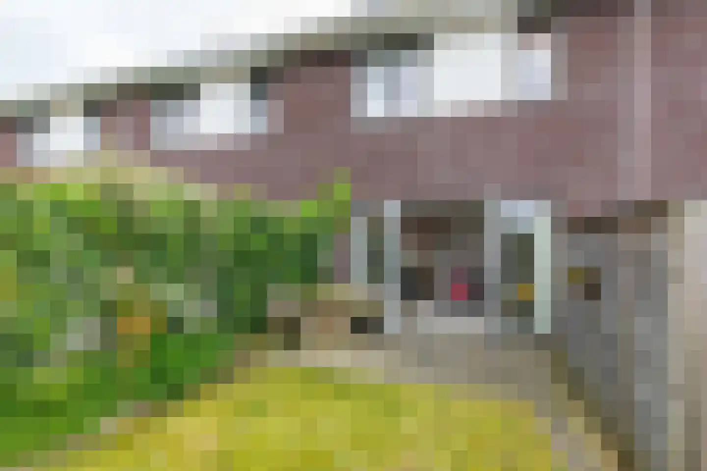 Leenes Land 17 A Zoutelande thumbnail 26