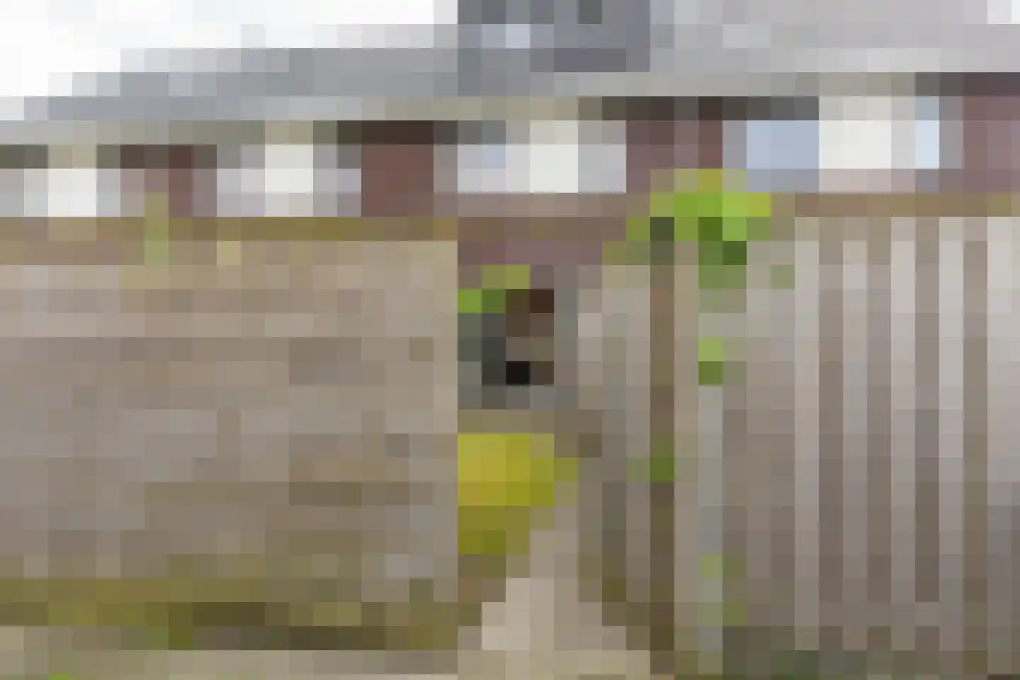 Leenes Land 17 A Zoutelande thumbnail 29