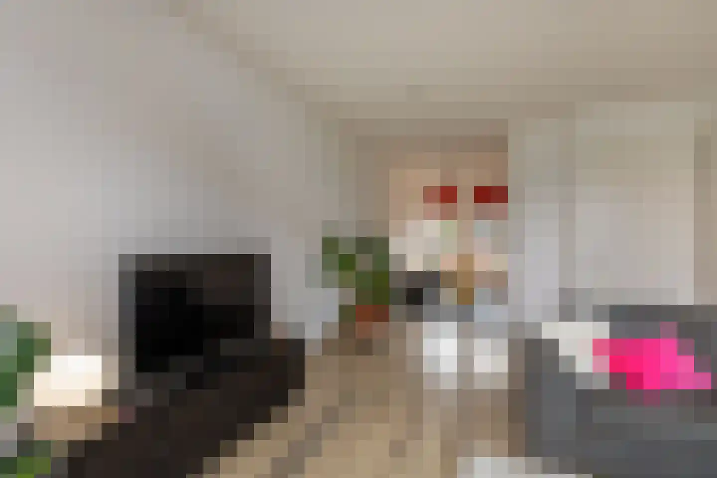 Leenes Land 17 A Zoutelande thumbnail 7