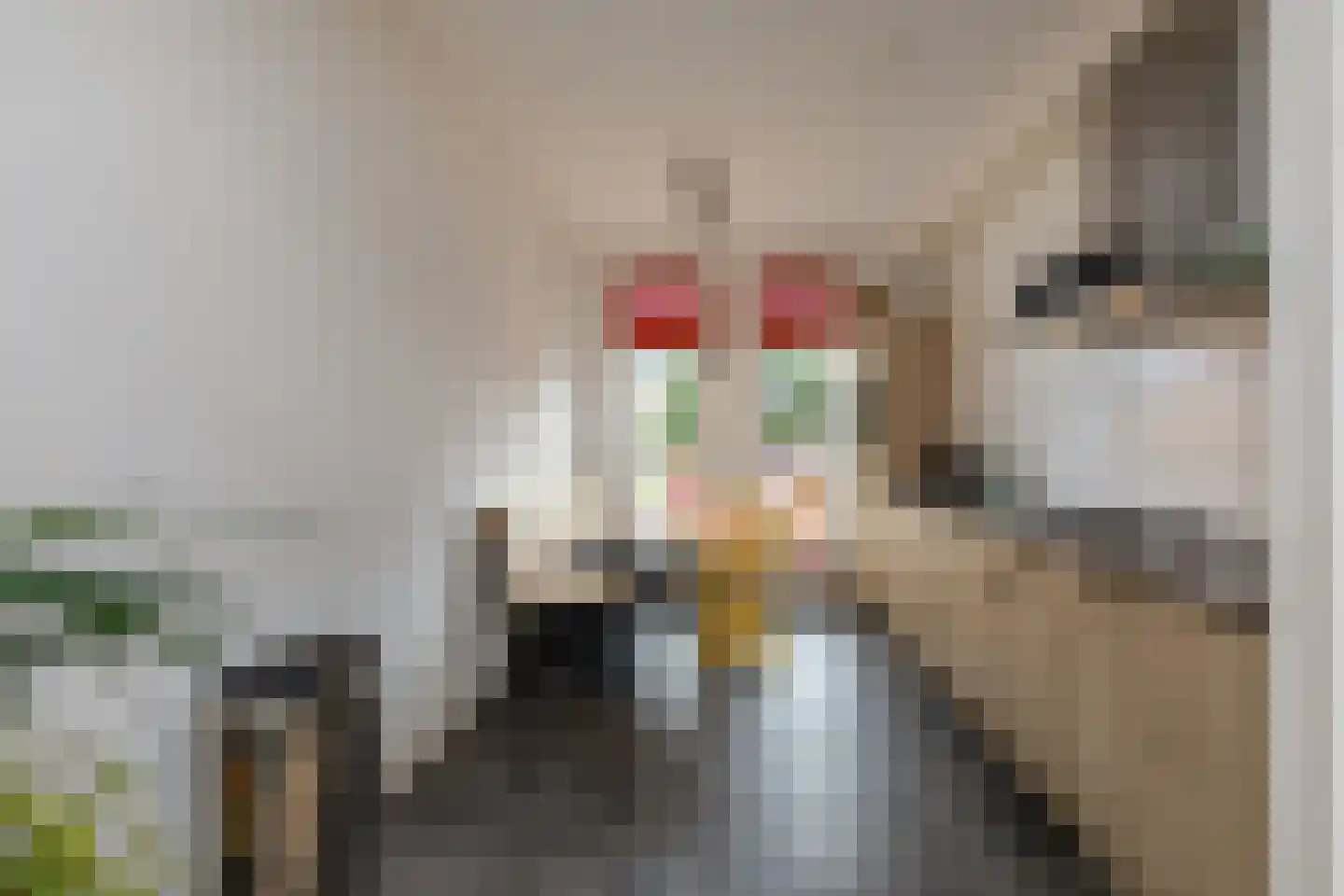 Leenes Land 17 A Zoutelande thumbnail 8