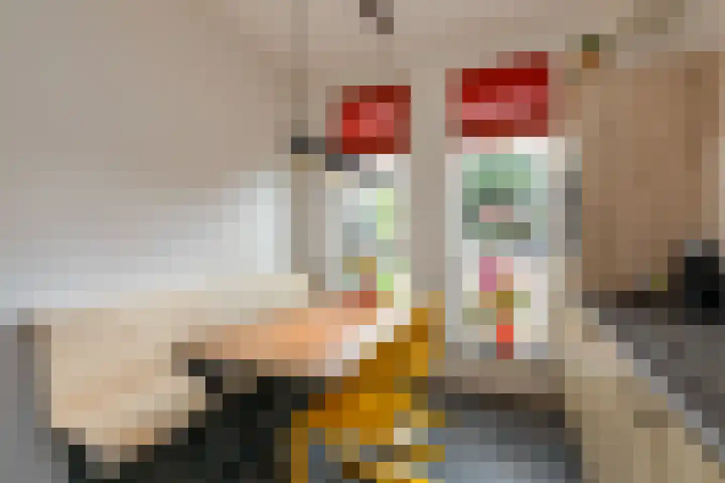 Leenes Land 17 A Zoutelande thumbnail 9