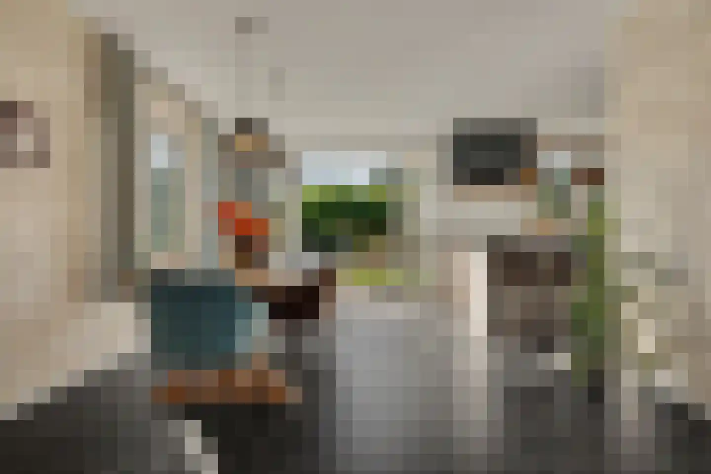 Leenes Land 18 Zoutelande thumbnail 12