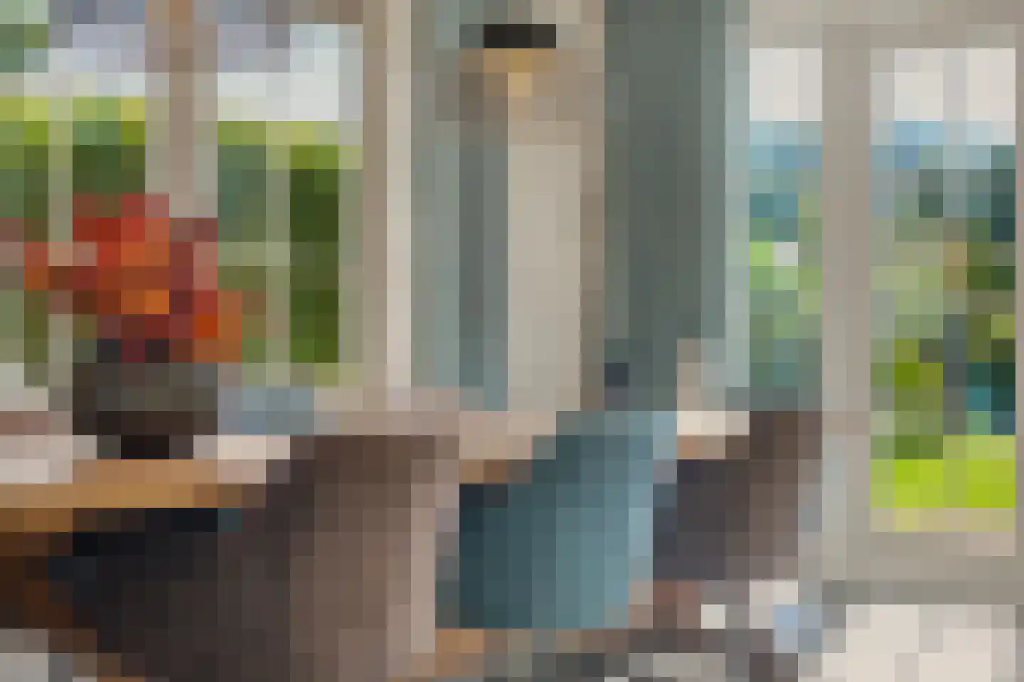 Leenes Land 18 Zoutelande thumbnail 13