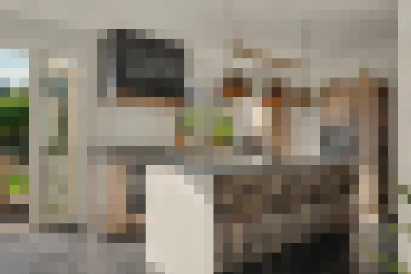 Leenes Land 18 Zoutelande thumbnail 14