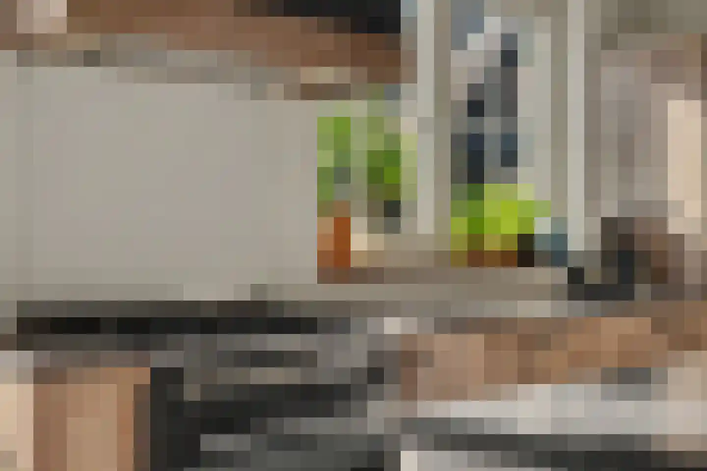 Leenes Land 18 Zoutelande thumbnail 15
