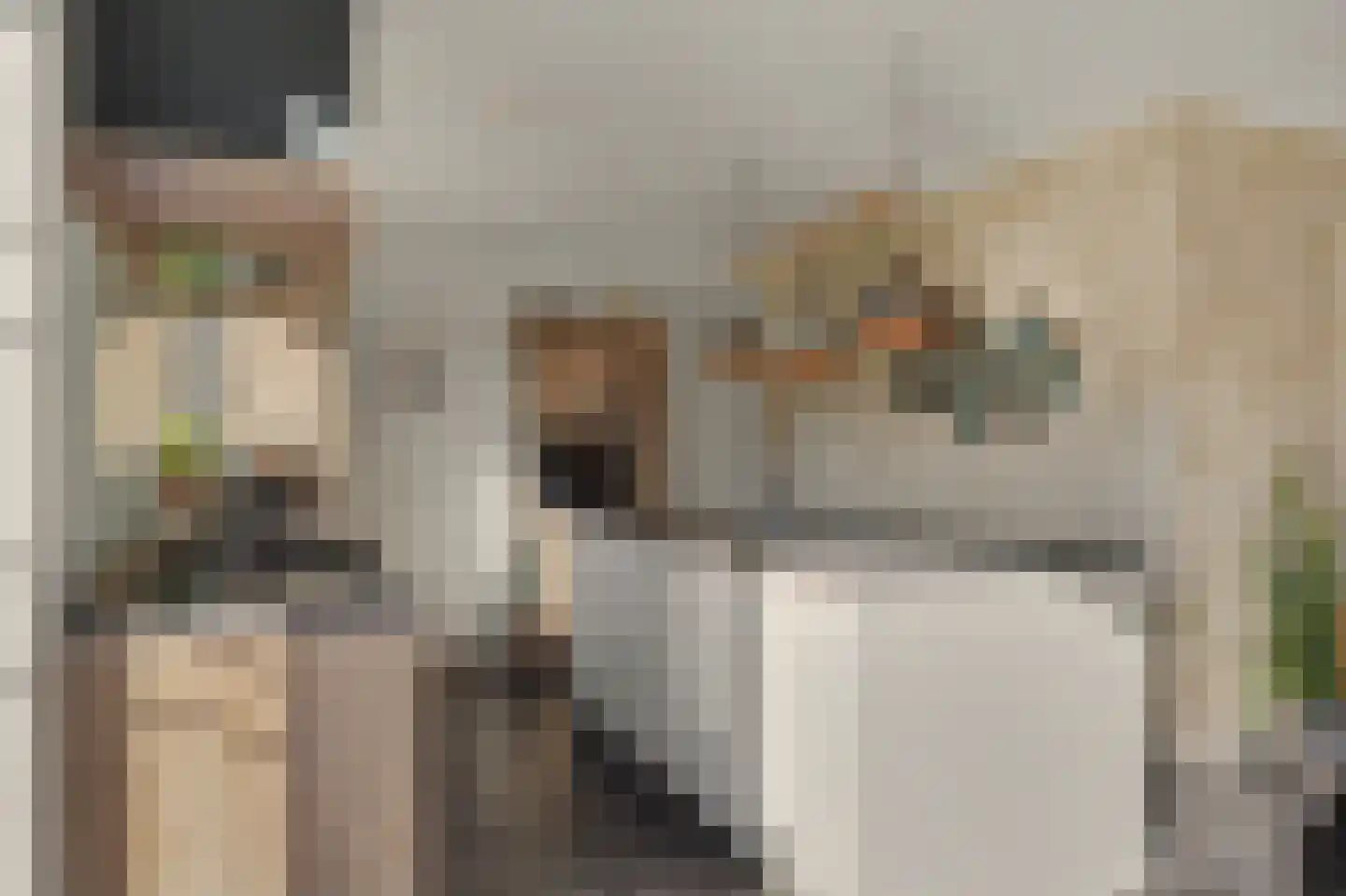 Leenes Land 18 Zoutelande thumbnail 16