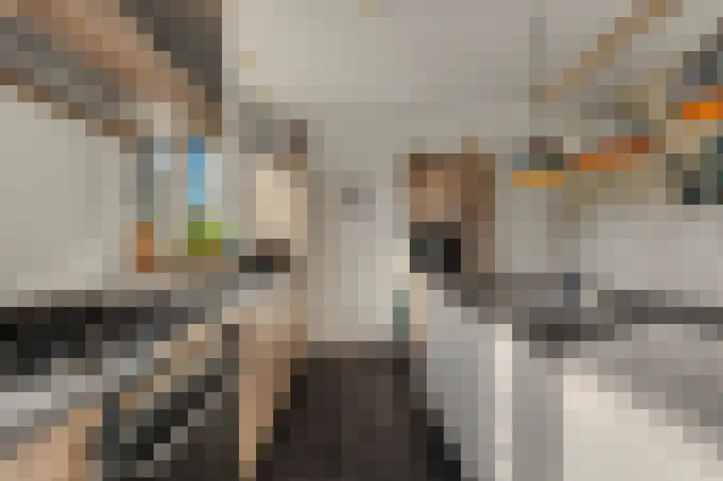 Leenes Land 18 Zoutelande thumbnail 17