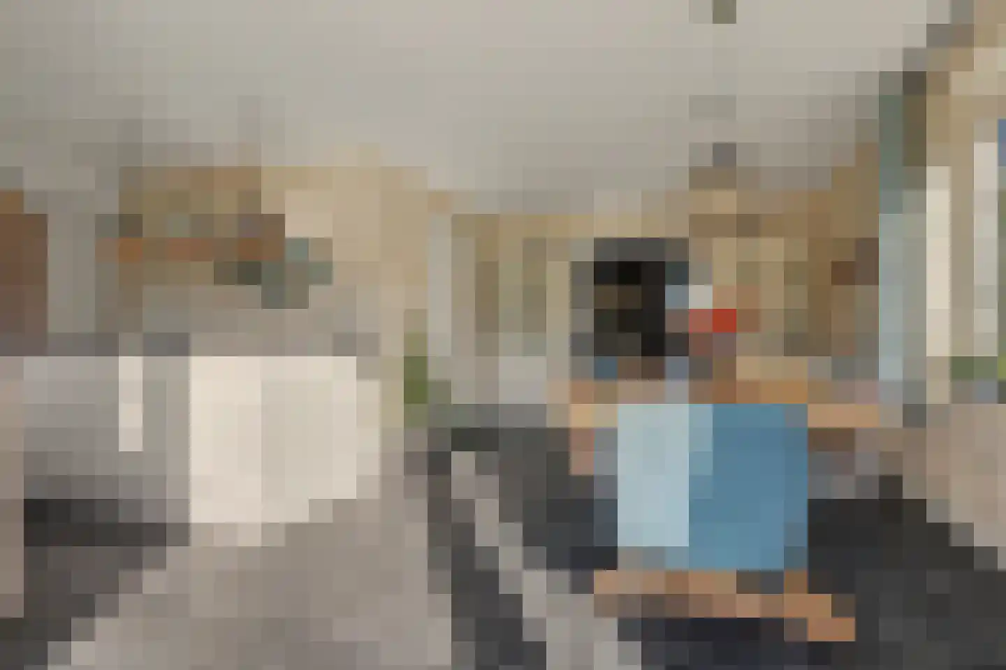 Leenes Land 18 Zoutelande thumbnail 18