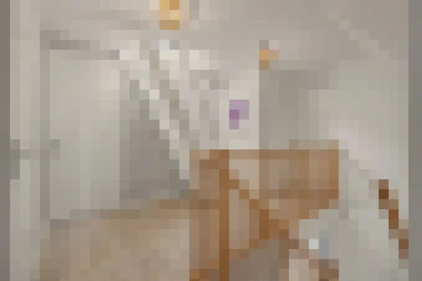 Leenes Land 18 Zoutelande thumbnail 22