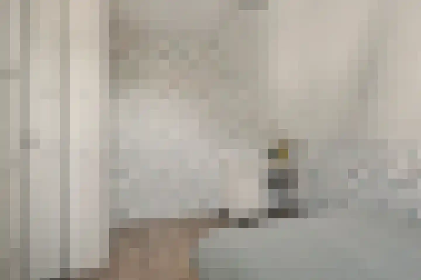 Leenes Land 18 Zoutelande thumbnail 25