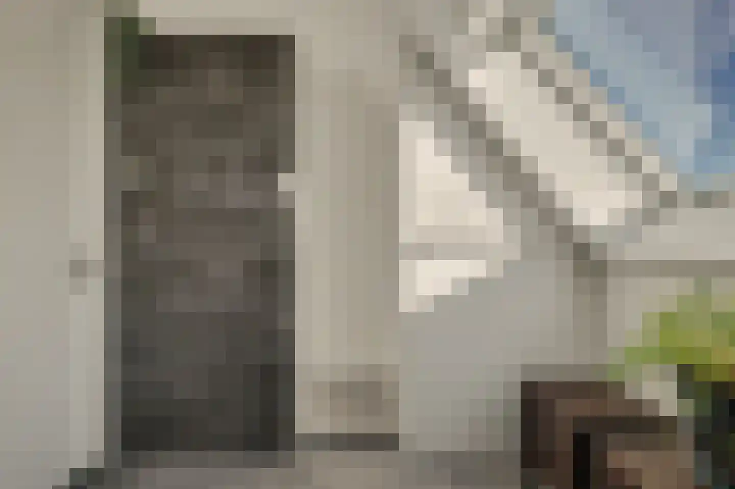 Leenes Land 18 Zoutelande thumbnail 27