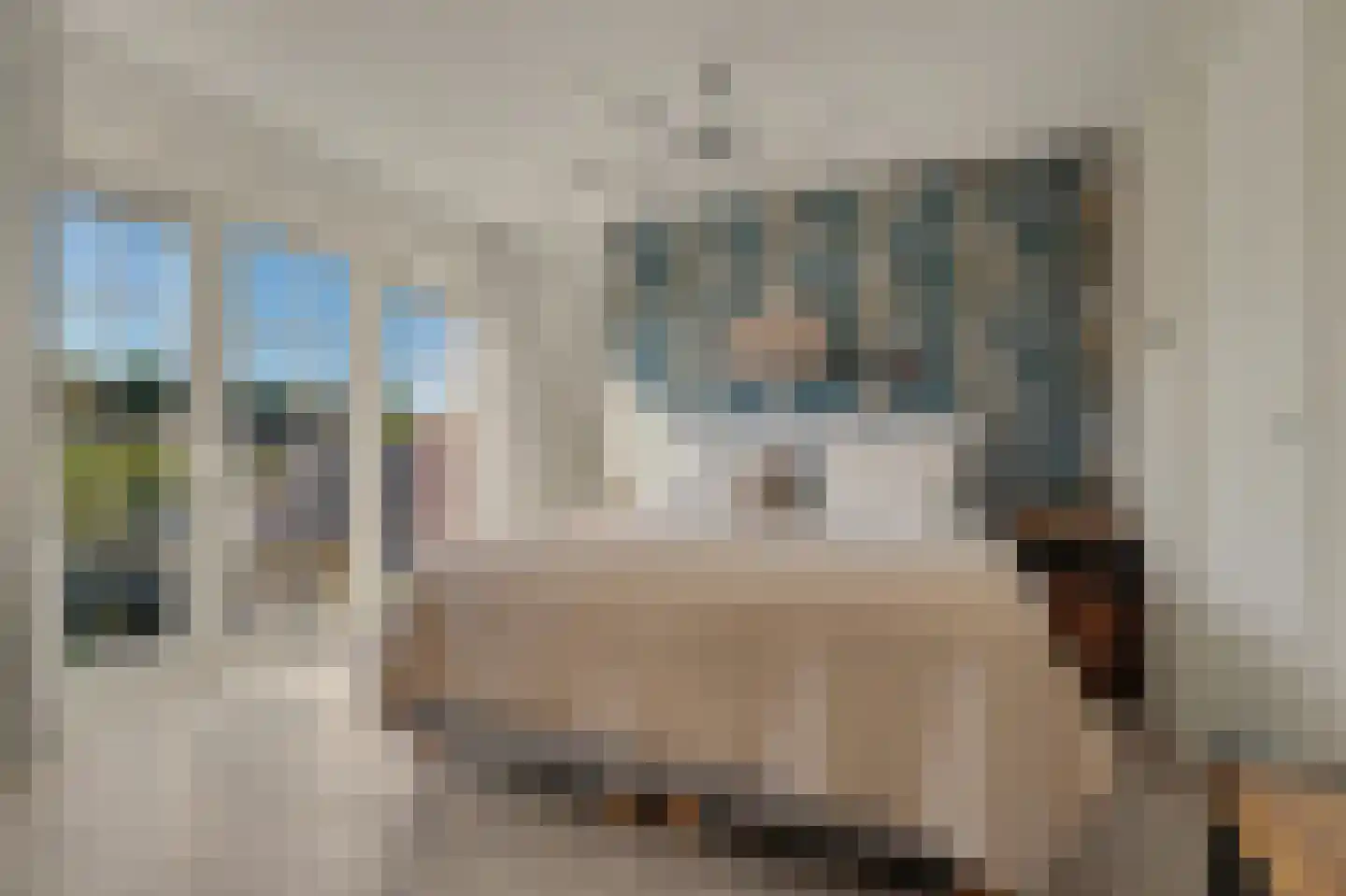Leenes Land 18 Zoutelande thumbnail 30