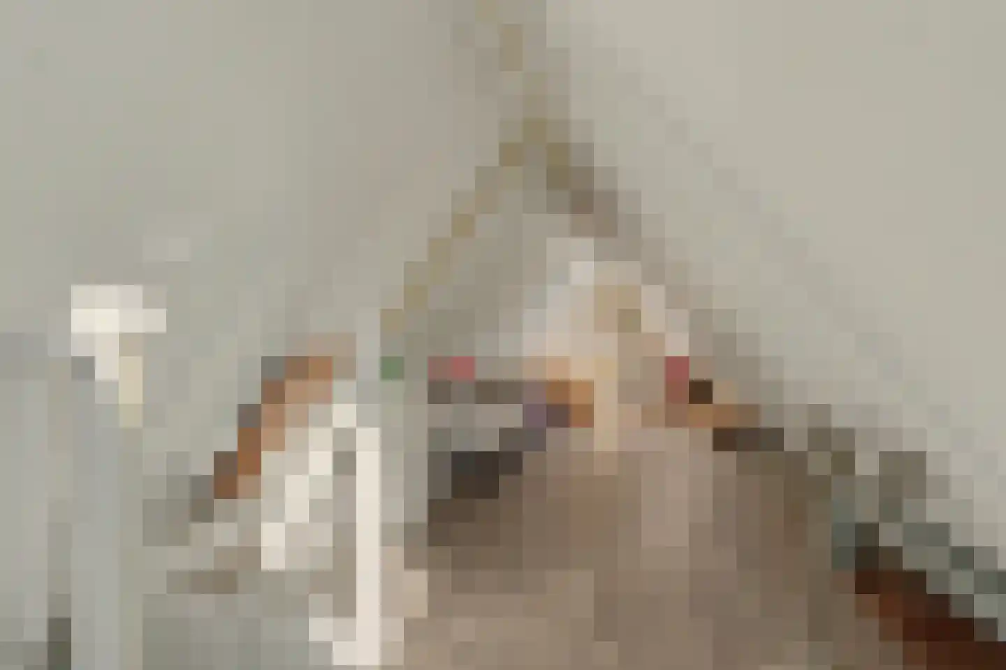 Leenes Land 18 Zoutelande thumbnail 34