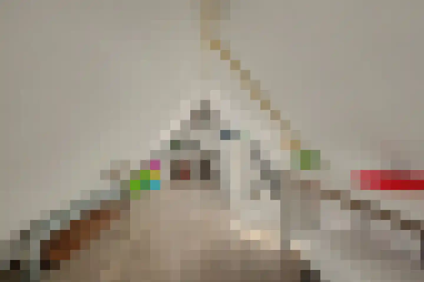 Leenes Land 18 Zoutelande thumbnail 35