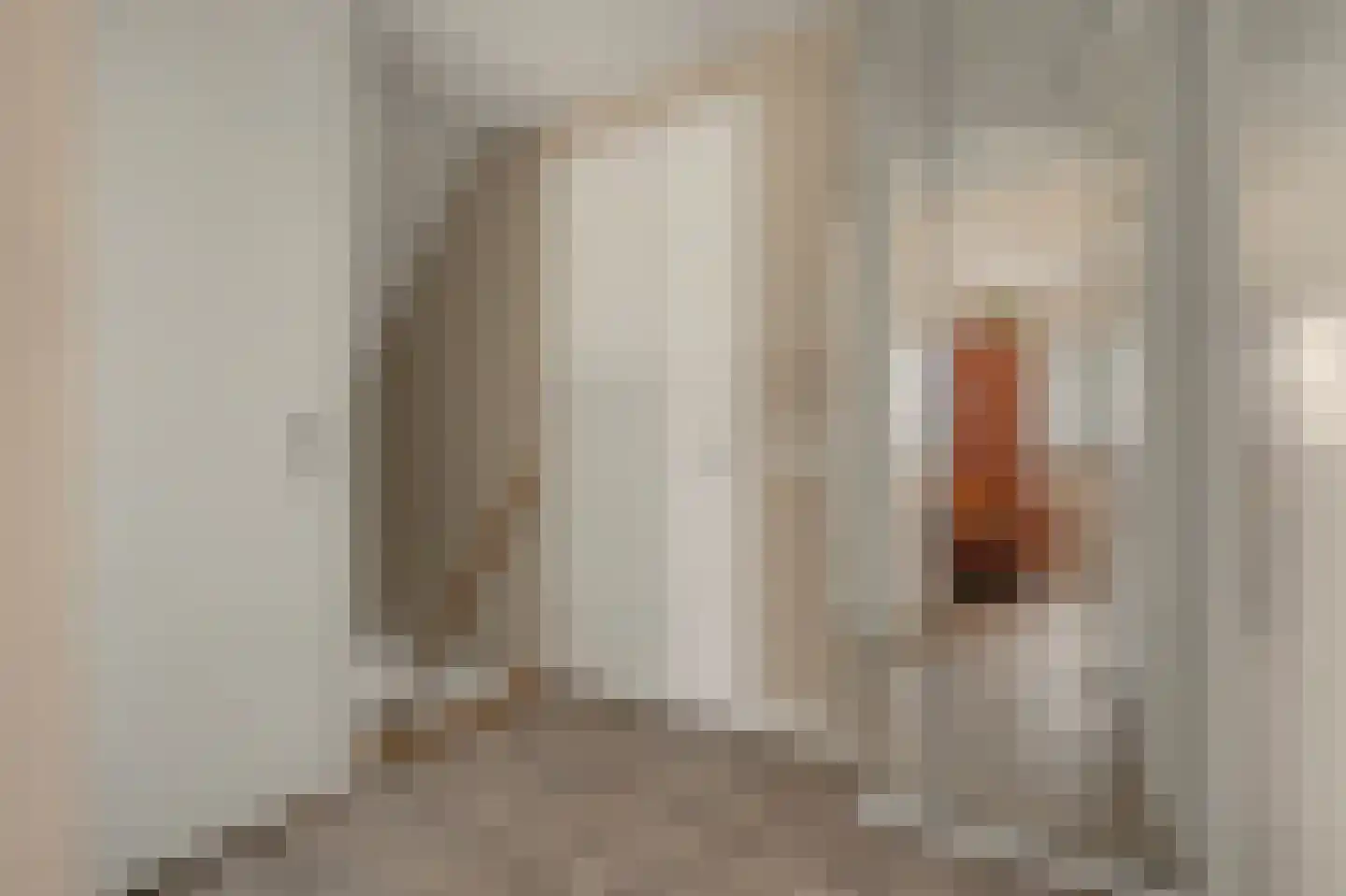 Leenes Land 18 Zoutelande thumbnail 36