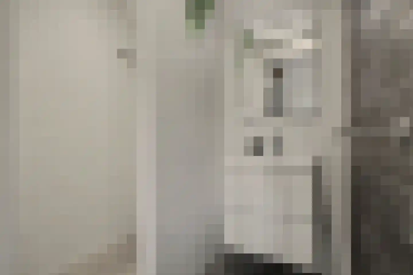 Leenes Land 18 Zoutelande thumbnail 37