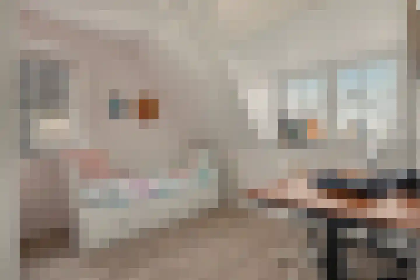 Leenes Land 18 Zoutelande thumbnail 39
