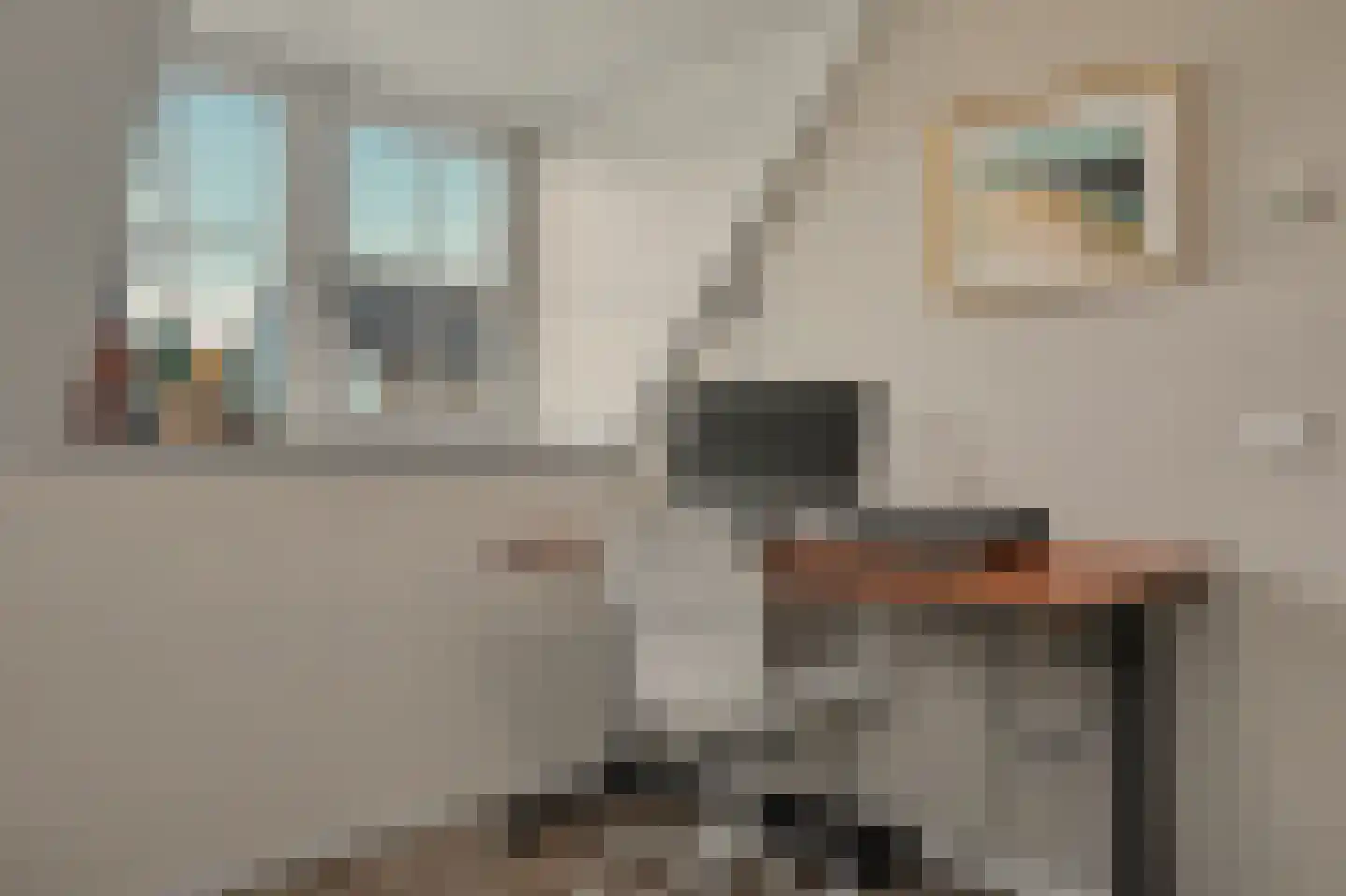 Leenes Land 18 Zoutelande thumbnail 40