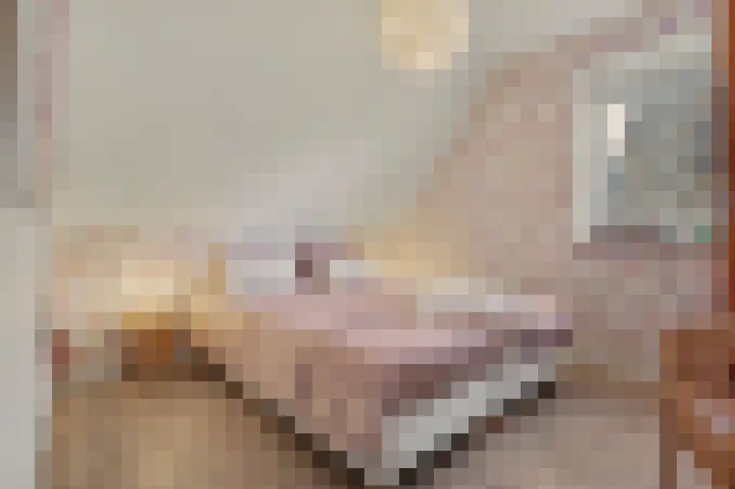 Leenes Land 18 Zoutelande thumbnail 41