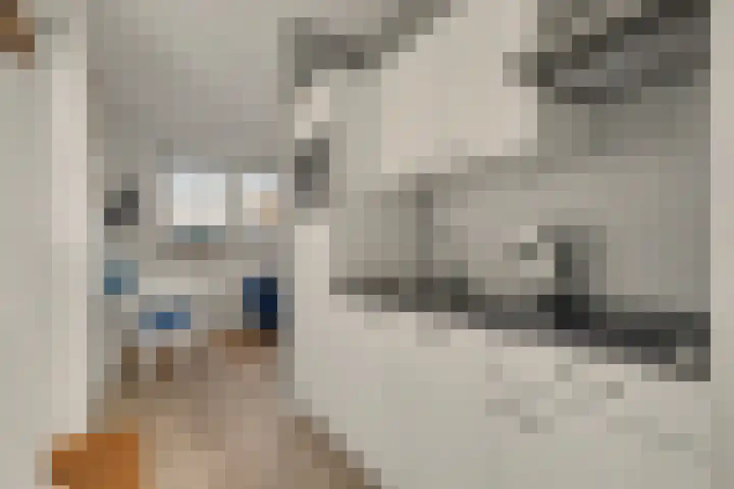 Leenes Land 18 Zoutelande thumbnail 45