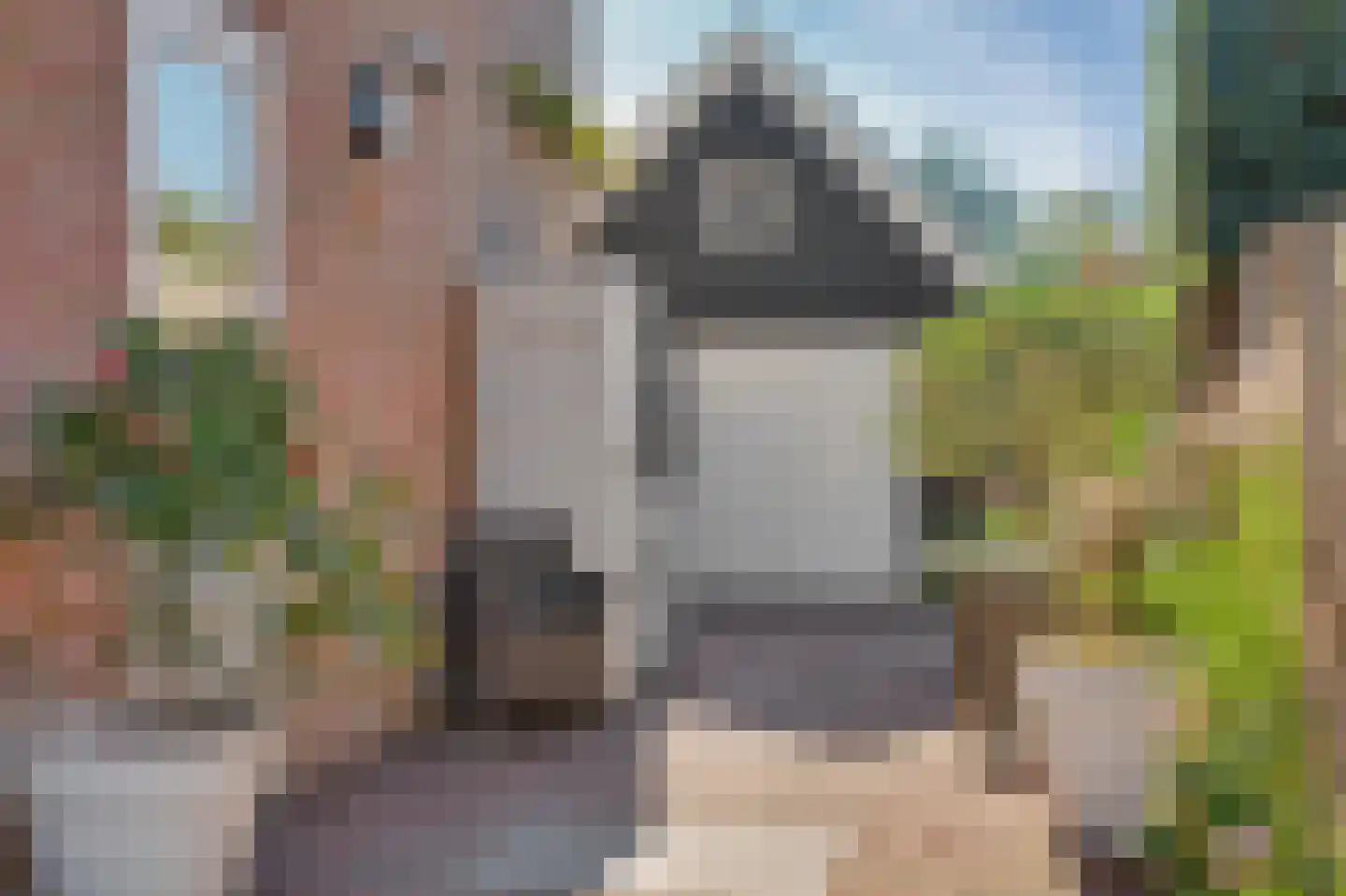 Leenes Land 18 Zoutelande thumbnail 48
