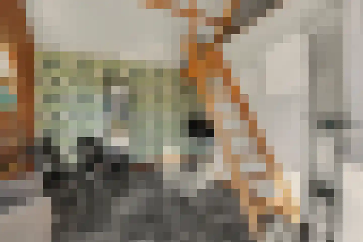 Leenes Land 18 Zoutelande thumbnail 50
