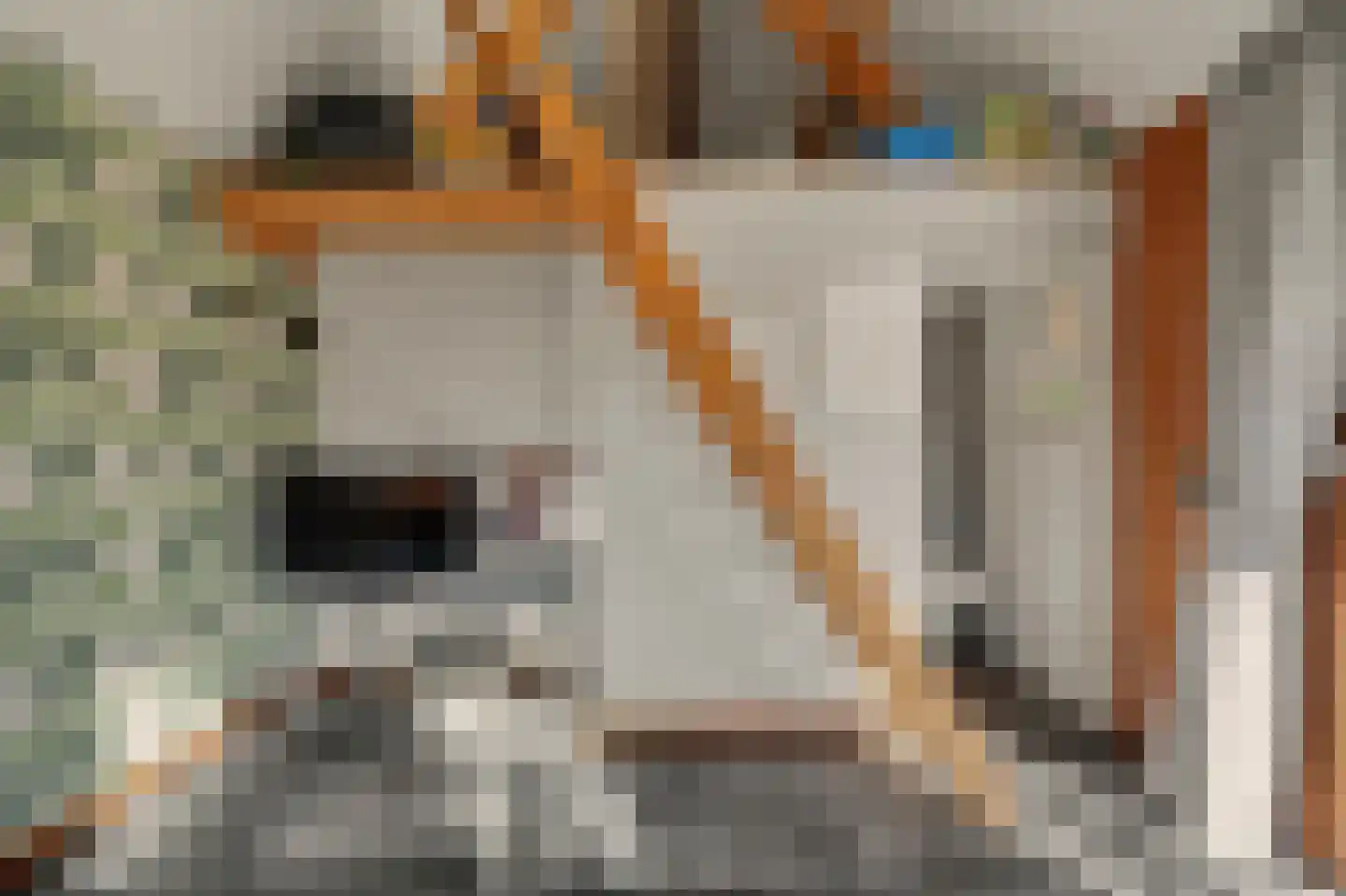Leenes Land 18 Zoutelande thumbnail 51