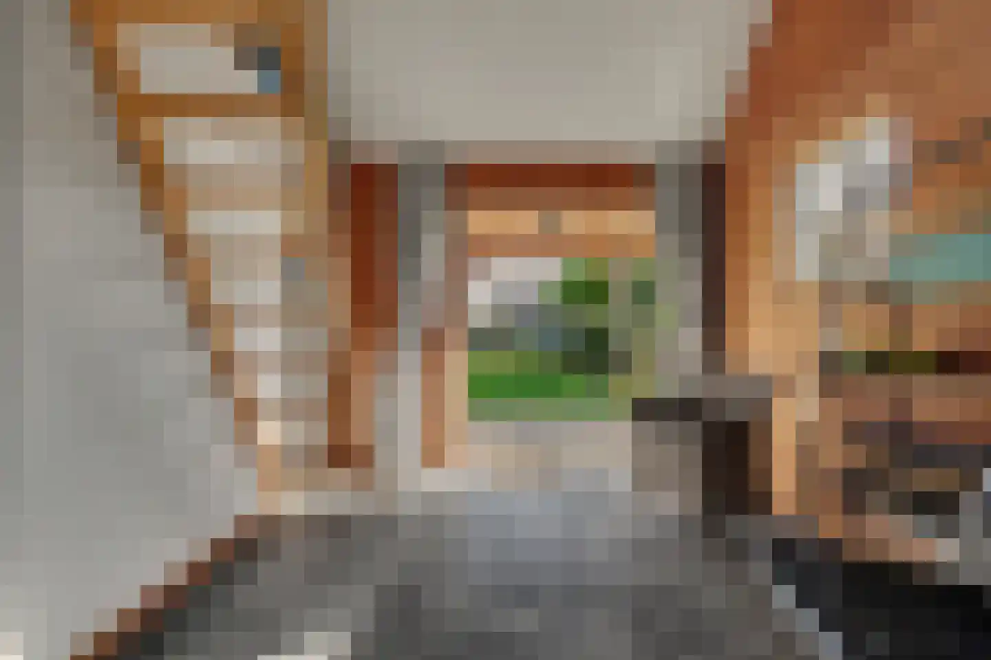 Leenes Land 18 Zoutelande thumbnail 52