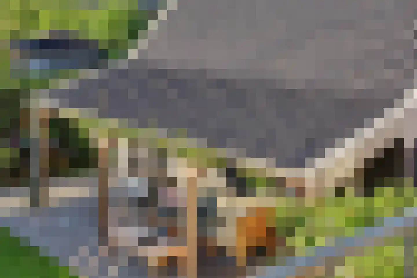 Leenes Land 18 Zoutelande thumbnail 62