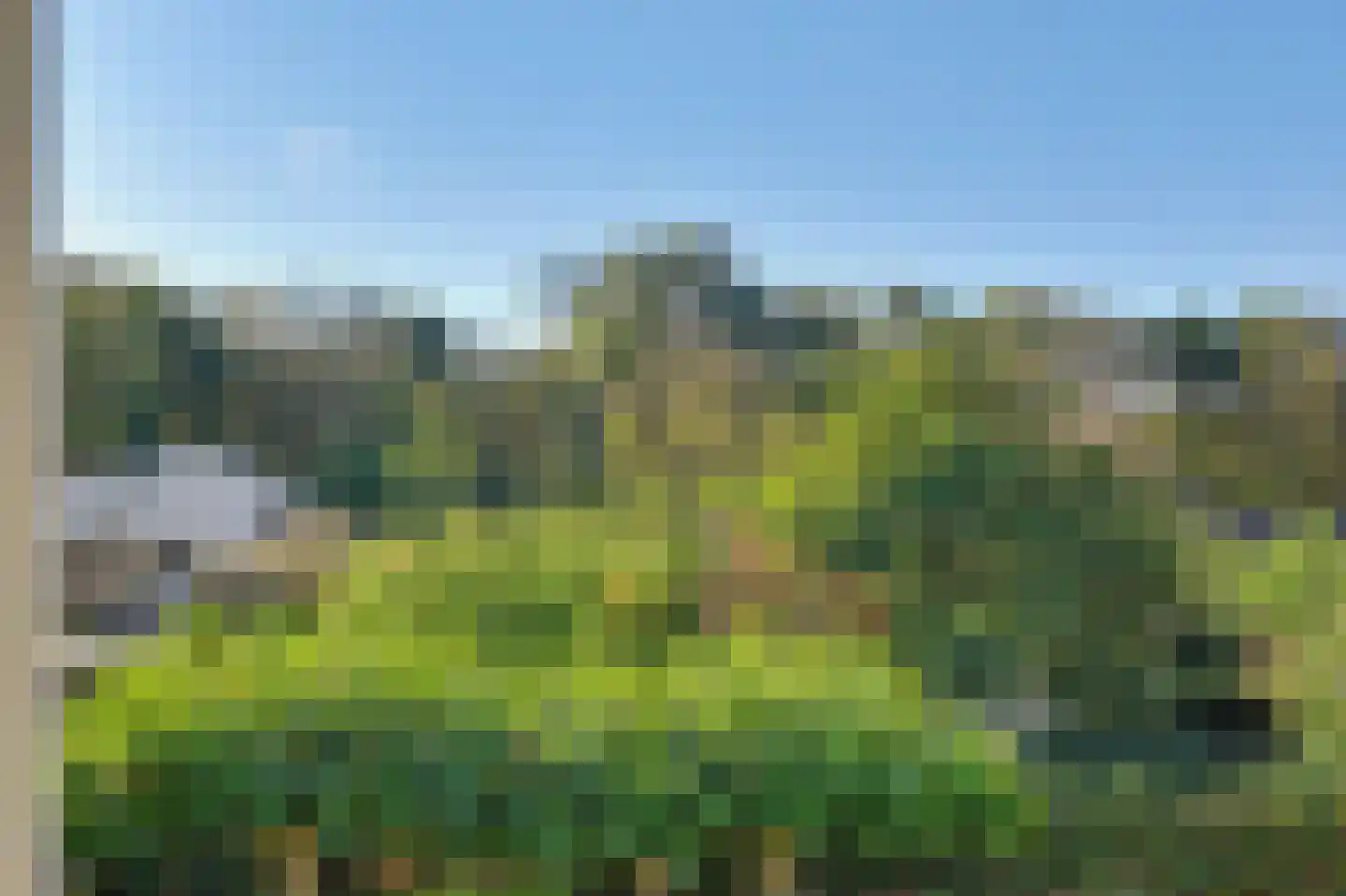 Leenes Land 18 Zoutelande thumbnail 63