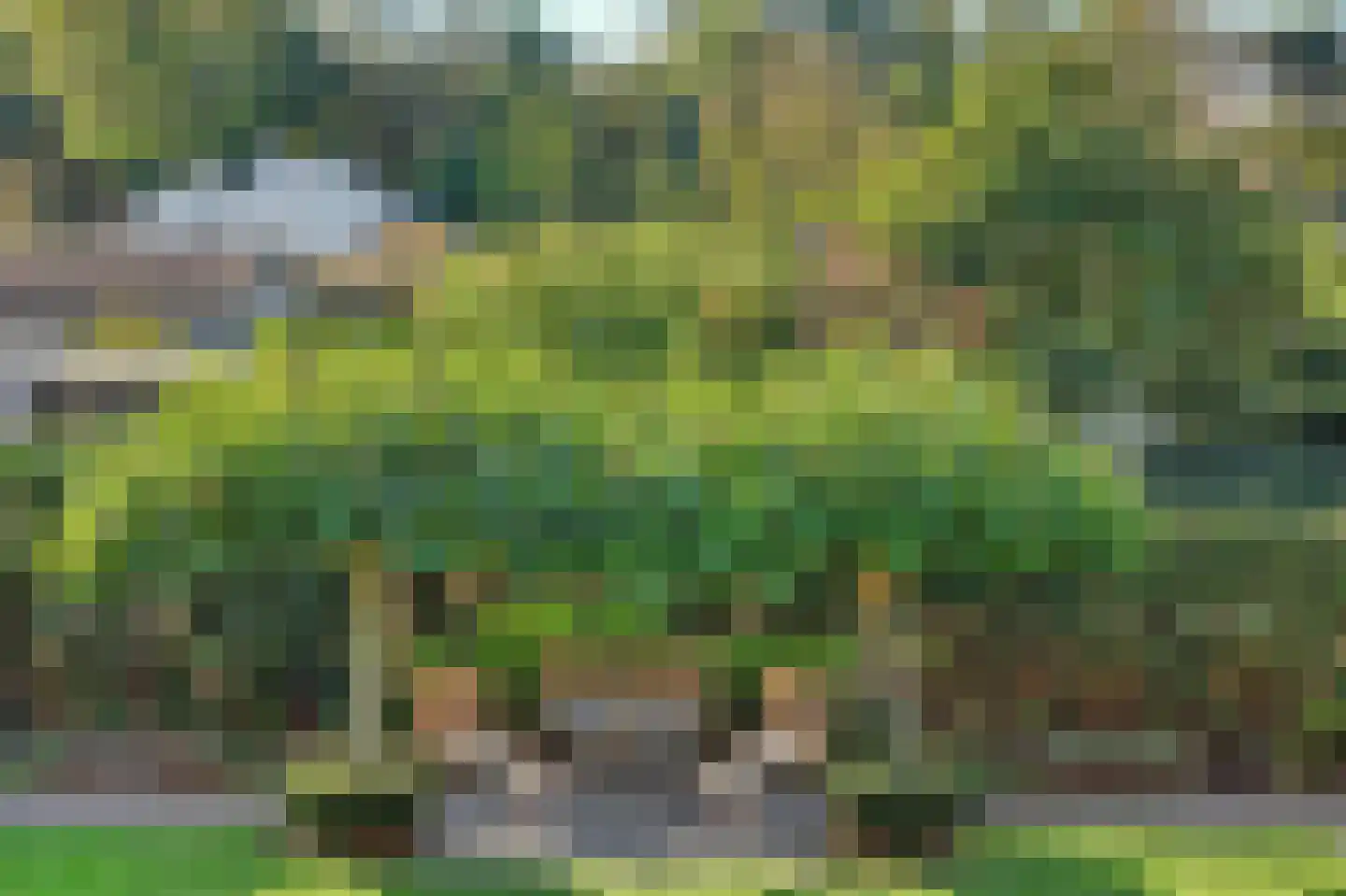 Leenes Land 18 Zoutelande thumbnail 64