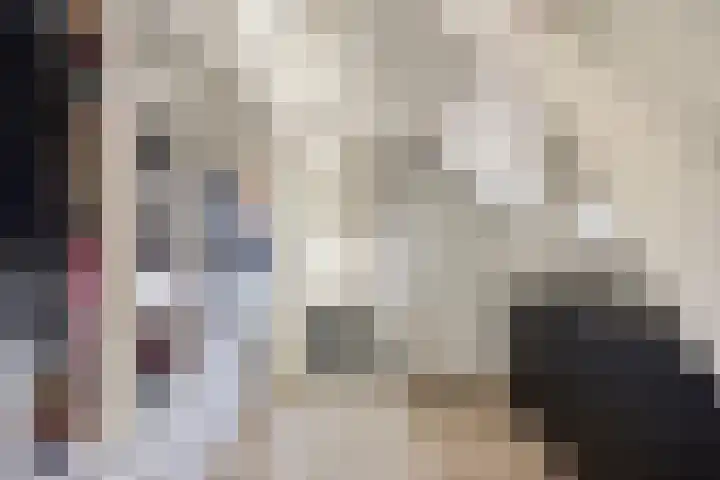 Leenherenstraat 109 Tilburg thumbnail 27