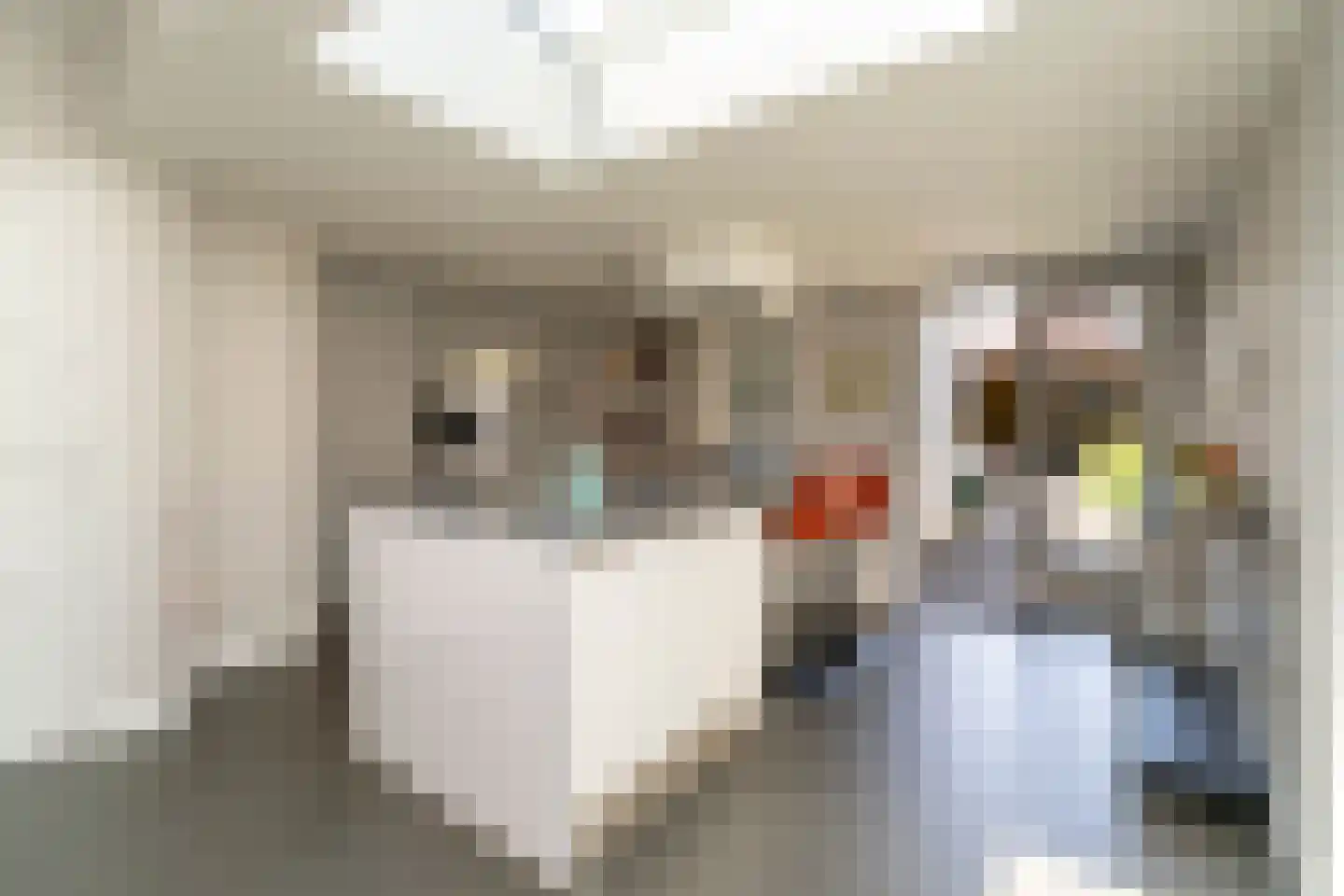 Leenherenstraat 113 Tilburg thumbnail 13