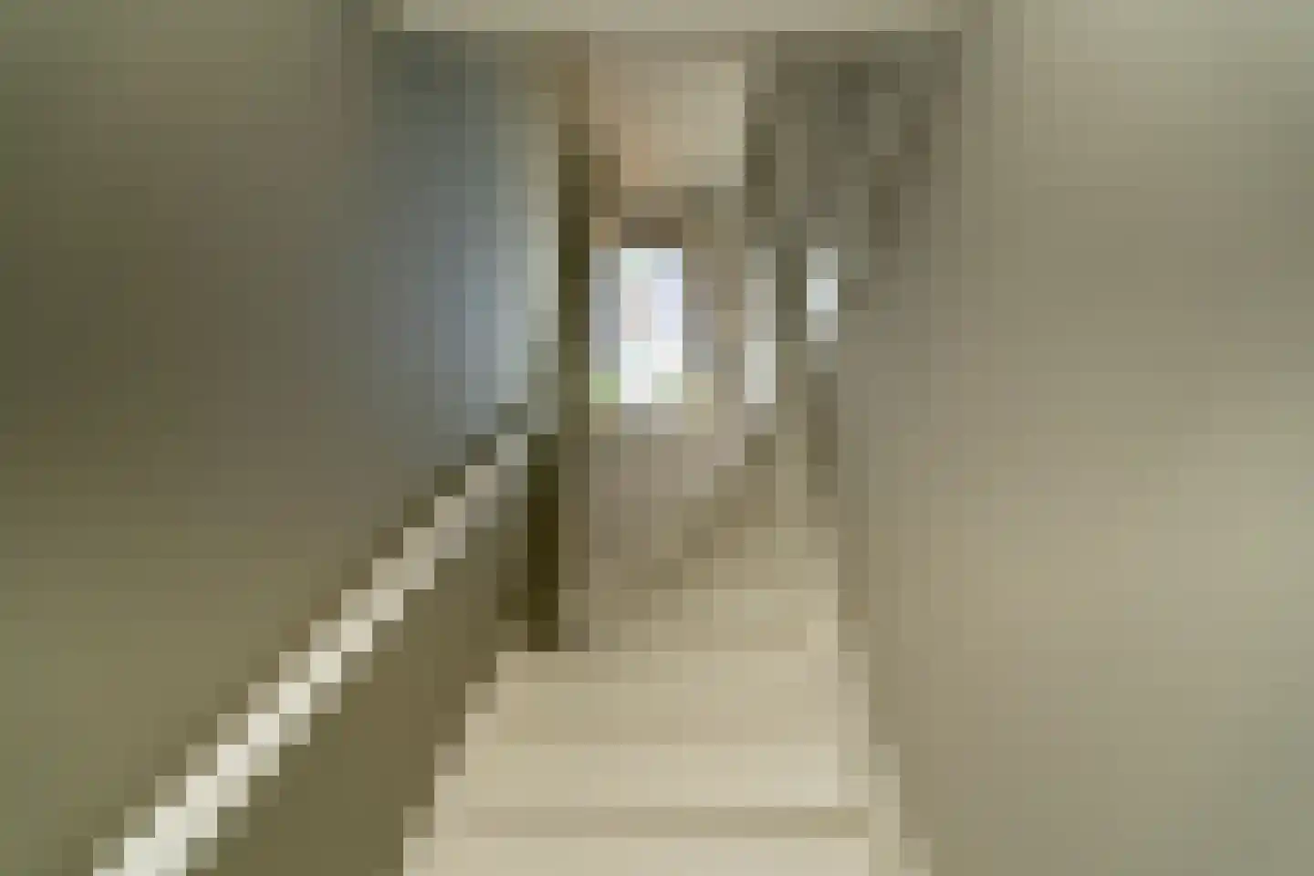 Leenherenstraat 113 Tilburg thumbnail 17
