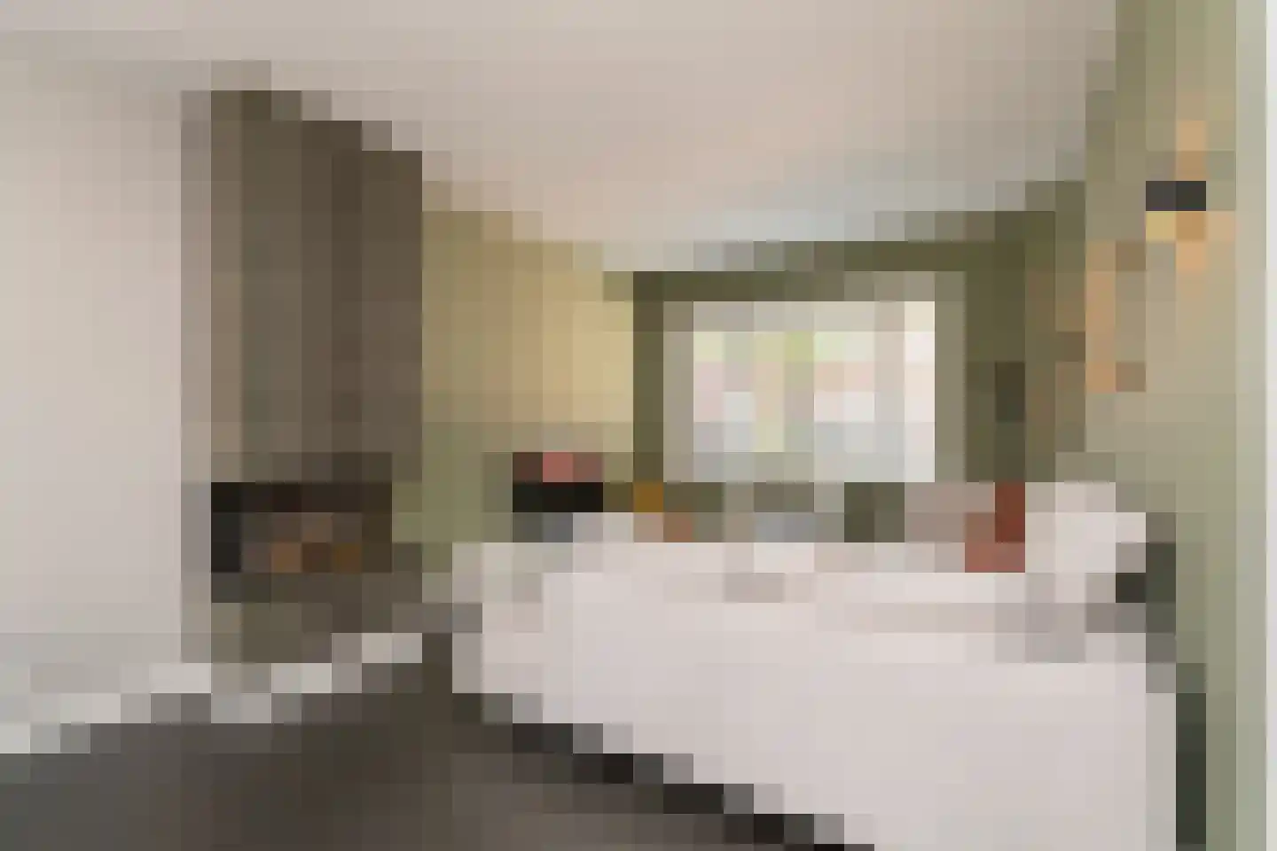 Leenherenstraat 113 Tilburg thumbnail 9
