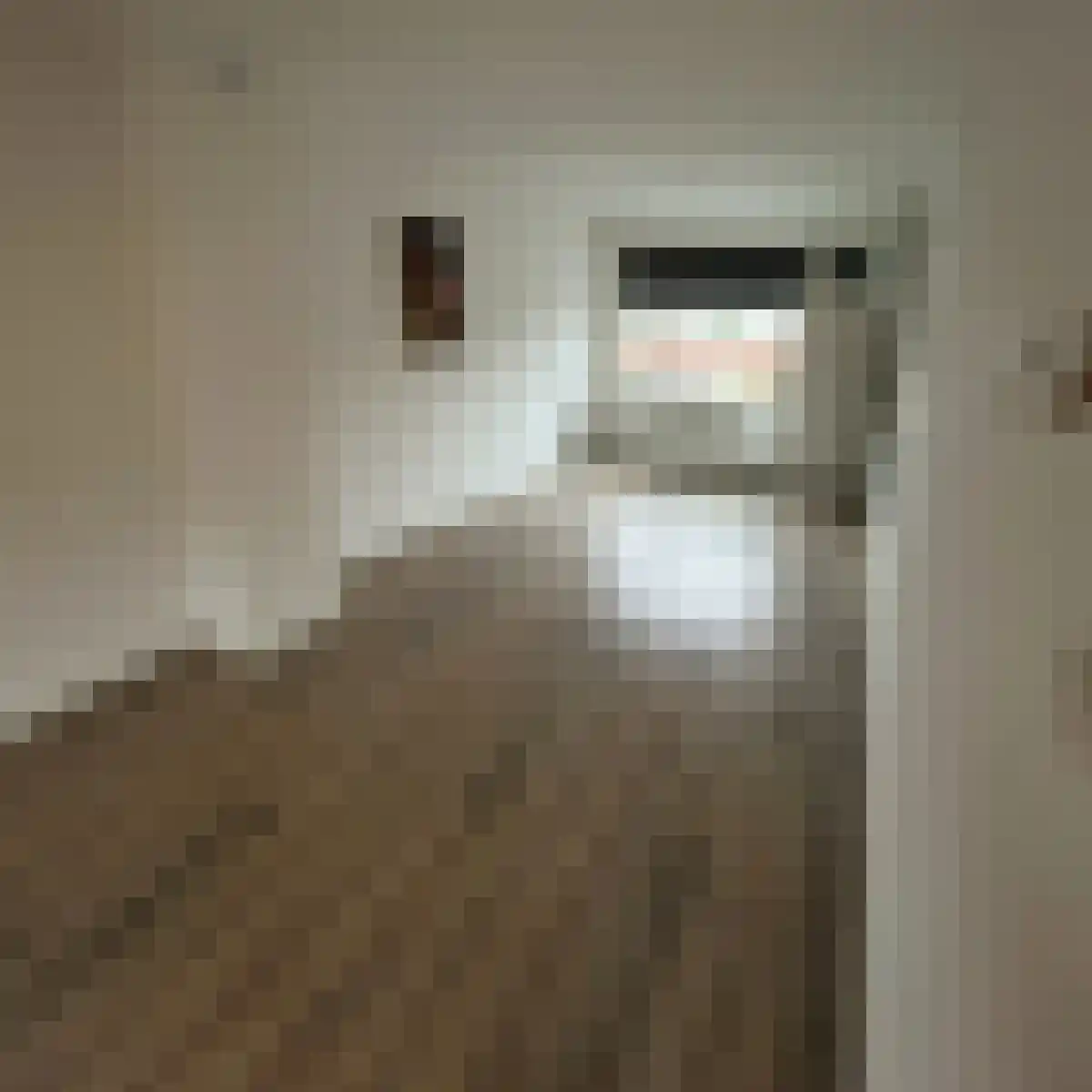 Leenherenstraat 119 03 Tilburg thumbnail 4
