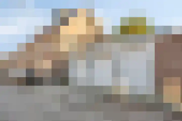 Leenherenstraat 24 Tilburg thumbnail 43