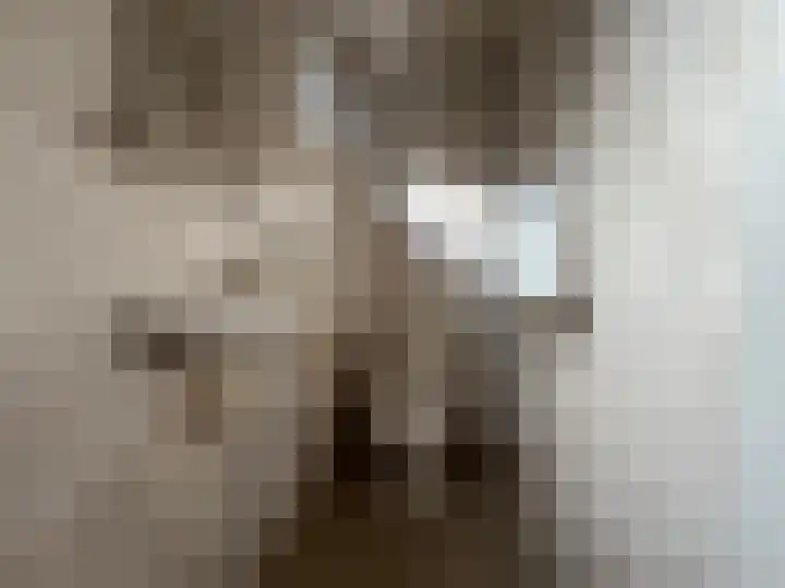 Leenherenstraat 25 Tilburg thumbnail 20
