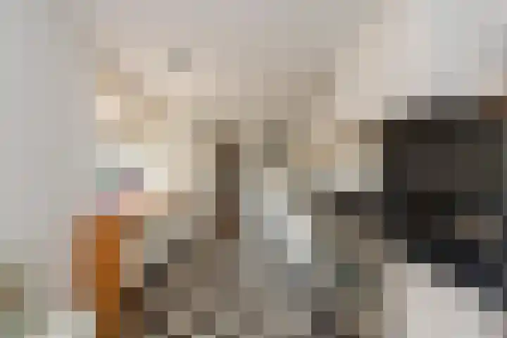 Leenherenstraat 29 Tilburg thumbnail 17